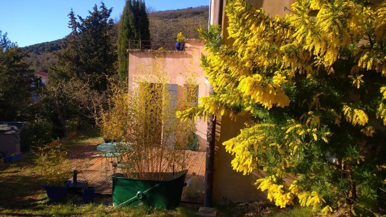 Le Chemin De Lauzieres Hotel Octon Bagian luar foto